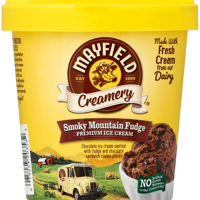 Smoky Mountain Fudge Ice Cream Pint