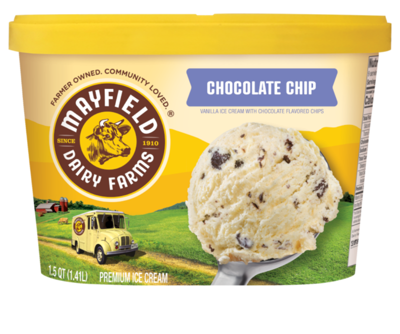 Chocolate Chip Ice Cream